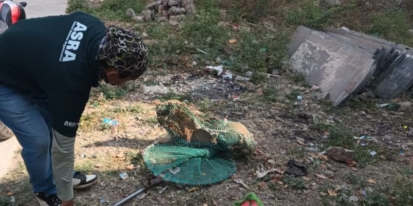 Probe launched after meat found at Veera Balanjaneya Temple in Ballari