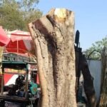 FIR registered after trees cut in Ballari for turbine blade movement