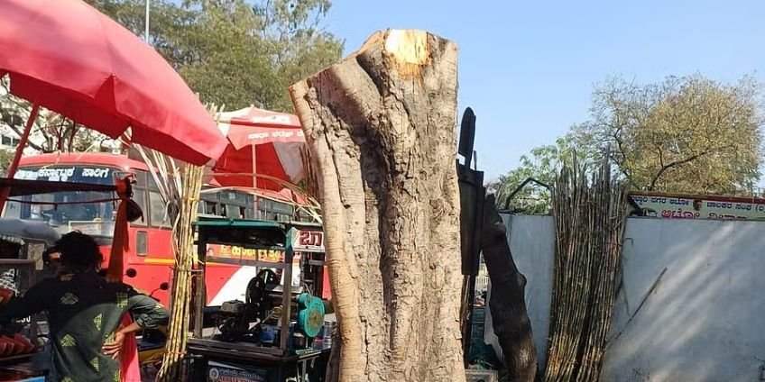 FIR registered after trees cut in Ballari for turbine blade movement